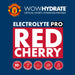 Wow Hydrate Electrolyte PRO 12x500ml - Recovery & Hydration Drinks at MySupplementShop by Wow Hydrate