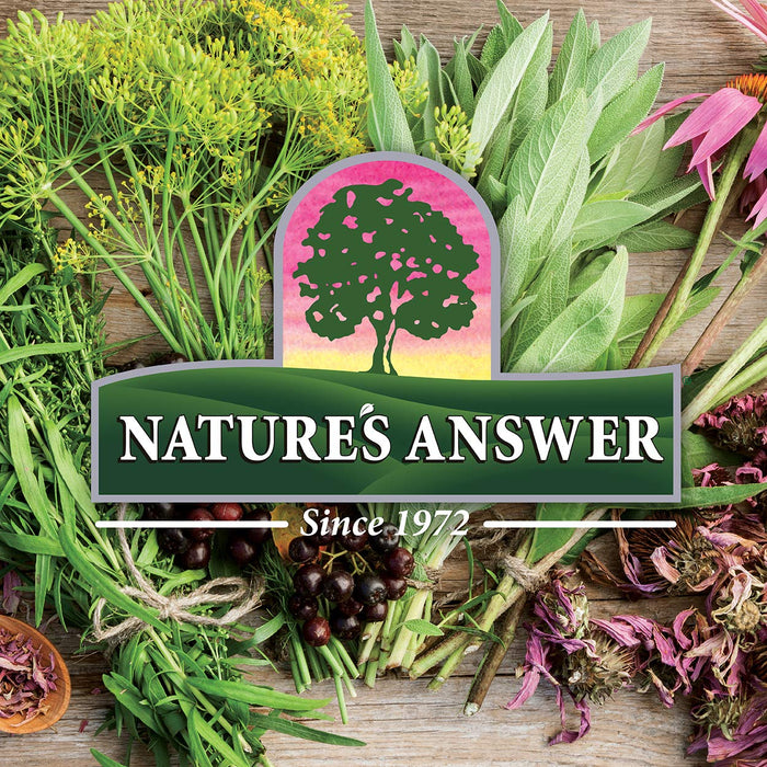 Natures Answer Astragalus Root 30ml - Vitamins & Minerals at MySupplementShop by Nature'S Answer