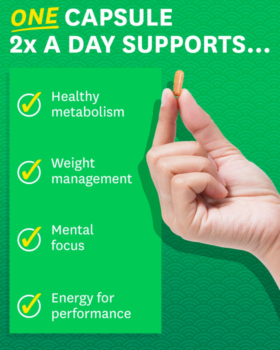 Zenwisegreen Tea Extract 120 caps - Green Tea at MySupplementShop by Zenwise