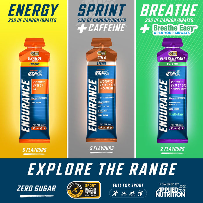 Applied Nutrition Endurance Isotonic Energy Gel 6 x 60g