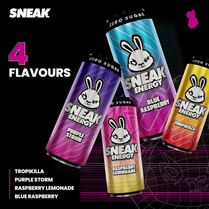 SNEAK Energy 12x500ml