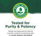 Swanson Phosphatidylserine Soy Free Formula 100 mg 90 Softgels - Brain & Memory at MySupplementShop by Swanson