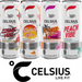 Celsius 12 x 355ml