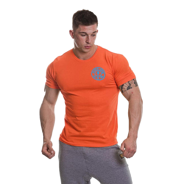 Golds Gym Basic T-Shirt - Orange/Turquoise