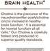 Nature's Way Choline 500mg 100 Vegan Tablets - Brain & Memory at MySupplementShop by Nature's Way