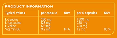 Reflex Nutrition BCAAs 500 Caps - Amino Acids and BCAAs at MySupplementShop by Reflex Nutrition