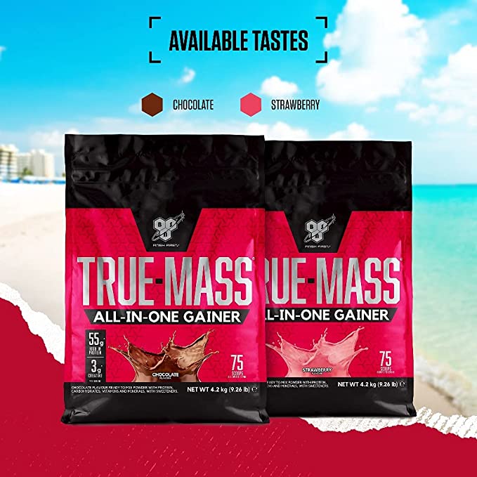 BSN True Mass All In One Gainer 4.2 kg - Protein Blends at MySupplementShop by BSN