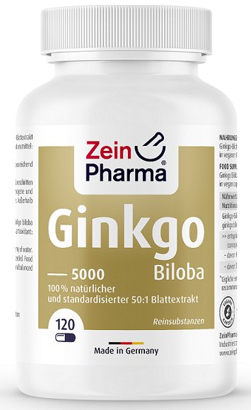 Zein Pharma Ginkgo Biloba 5000, 100mg - 120 caps - Sports Supplements at MySupplementShop by Zein Pharma